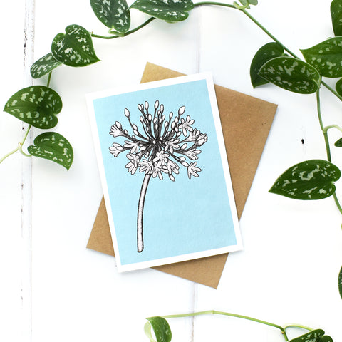 Agapanthus A6 Greeting Card, Blank Inside