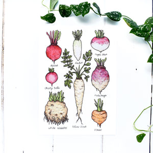 Root Vegetables A4 Print